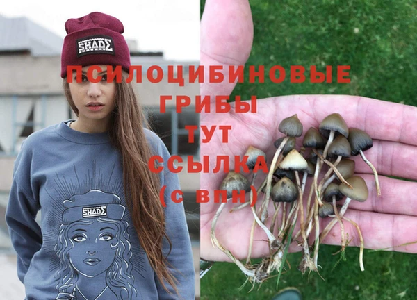 spice Абинск