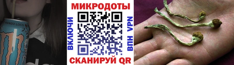 купить   Урус-Мартан  Псилоцибиновые грибы прущие грибы 
